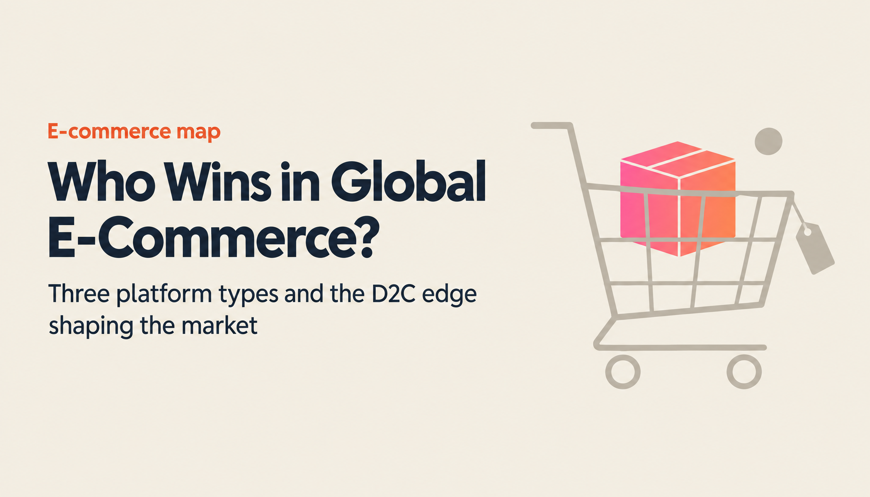 The Global E-Commerce Landscape: Amazon, Shopee, Etsy, Wish, and the D2C Revolution